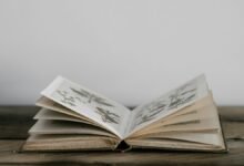 صورة تعبيرية لكتاب مفتوح ضمن تغطية فوز آن كارسون بجائزة نوبل للآداب 2026