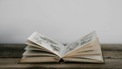 صورة تعبيرية لكتاب مفتوح ضمن تغطية فوز آن كارسون بجائزة نوبل للآداب 2026