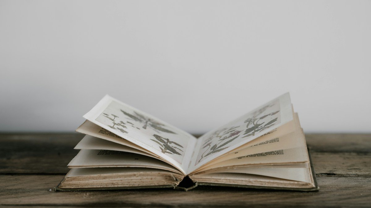 صورة تعبيرية لكتاب مفتوح ضمن تغطية فوز آن كارسون بجائزة نوبل للآداب 2026